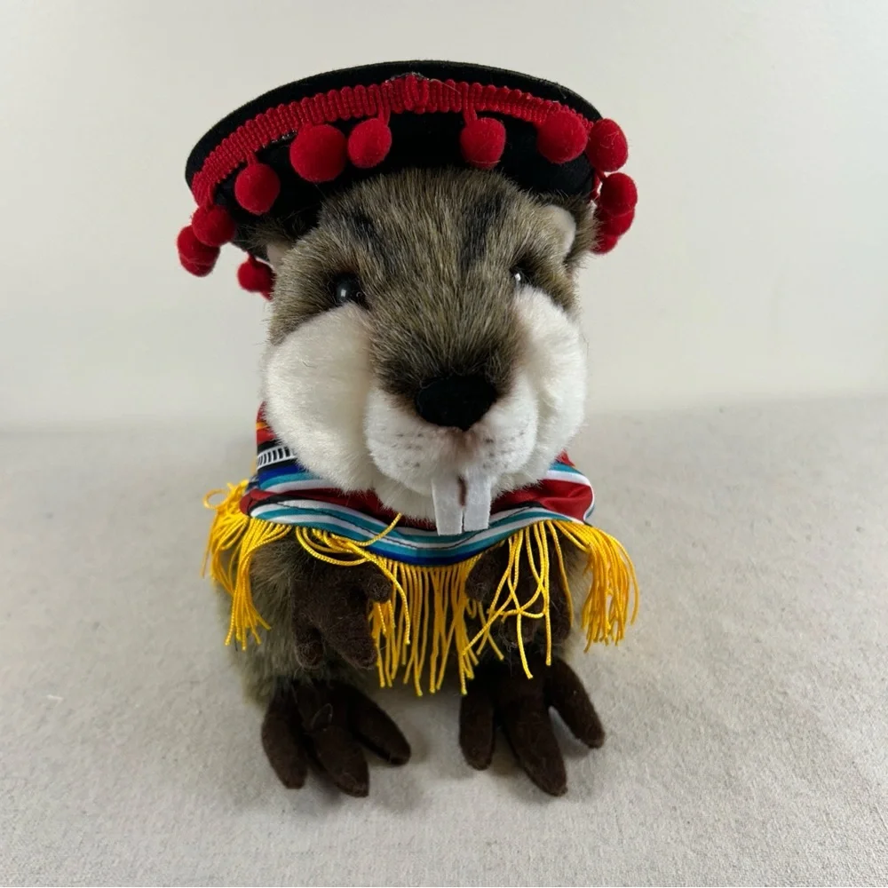 Cinco de Mayo Costume with Sombrero for Small Dog